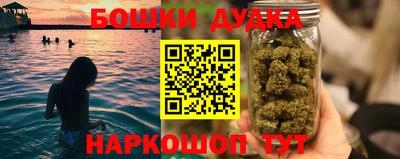 PSILOCYBIN Будённовск