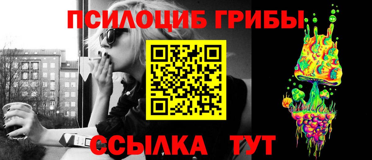 Галлюциногенные грибы Psilocybe Саров